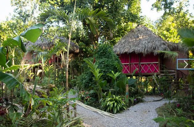 Samana Tropical Village Jardin